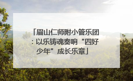 眉山仁师附小管乐团：以乐铸魂奏响“四好少年”成长乐章