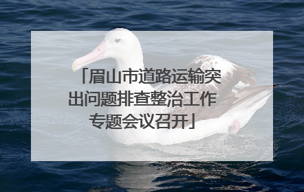 眉山市道路运输突出问题排查整治工作专题会议召开