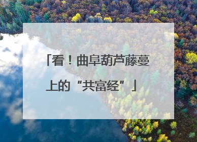 看！曲阜葫芦藤蔓上的“共富经”