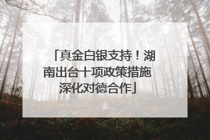 真金白银支持！湖南出台十项政策措施深化对德合作