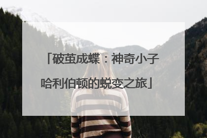 破茧成蝶：神奇小子哈利伯顿的蜕变之旅