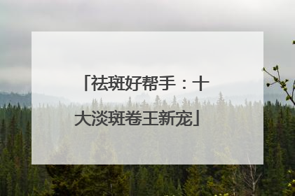 祛斑好帮手：十大淡斑卷王新宠