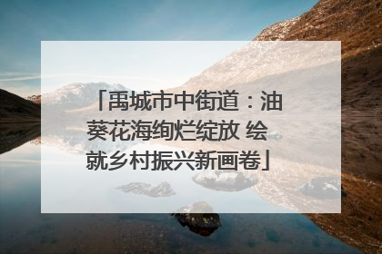 禹城市中街道：油葵花海绚烂绽放 绘就乡村振兴新画卷