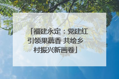 福建永定：党建红引领果蔬香 共绘乡村振兴新画卷