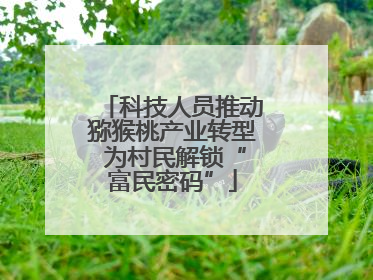 科技人员推动猕猴桃产业转型 为村民解锁“富民密码”