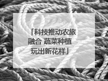 科技推动农旅融合 蔬菜种植玩出新花样