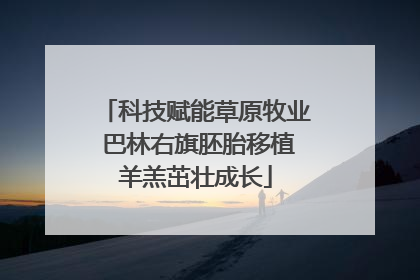 科技赋能草原牧业 巴林右旗胚胎移植羊羔茁壮成长