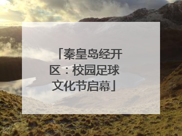 秦皇岛经开区：校园足球文化节启幕