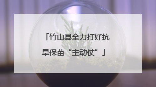 竹山县全力打好抗旱保苗“主动仗”