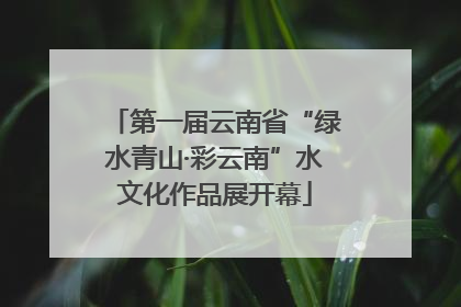 第一届云南省“绿水青山·彩云南”水文化作品展开幕