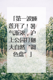 第一波睡莲开了！暑气渐浓，沪上公园打翻大自然“调色盘”