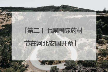 第二十七届国际药材节在河北安国开幕