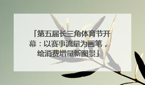 第五届长三角体育节开幕：以赛事流量为画笔，绘消费增量新图景