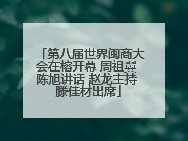 第八届世界闽商大会在榕开幕 周祖翼陈旭讲话 赵龙主持 滕佳材出席