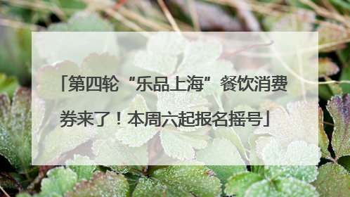 第四轮“乐品上海”餐饮消费券来了！本周六起报名摇号