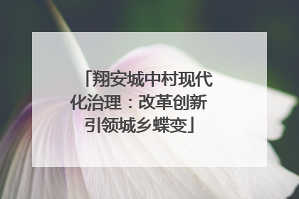翔安城中村现代化治理：改革创新引领城乡蝶变