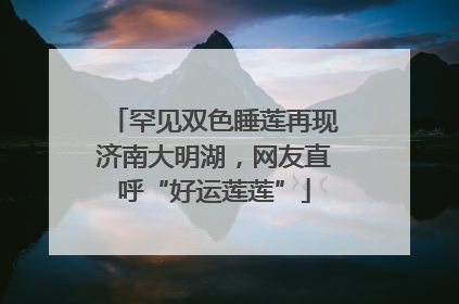 罕见双色睡莲再现济南大明湖，网友直呼“好运莲莲”