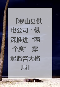 罗山县供电公司：纵深推进“两个度” 撑起监督大格局