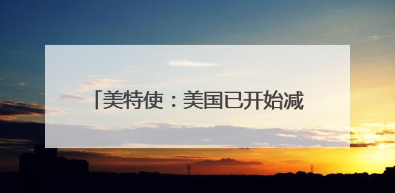 美特使：美国已开始减少在叙利亚的军事存在