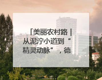 美丽农村路｜从泥泞小道到“精灵动脉”，德清有条“虾路”火了