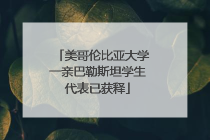 美哥伦比亚大学一亲巴勒斯坦学生代表已获释