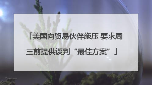 美国向贸易伙伴施压 要求周三前提供谈判“最佳方案”