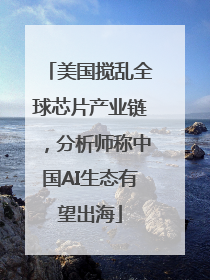 美国搅乱全球芯片产业链，分析师称中国AI生态有望出海