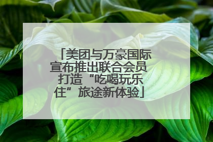 美团与万豪国际宣布推出联合会员 打造“吃喝玩乐住”旅途新体验