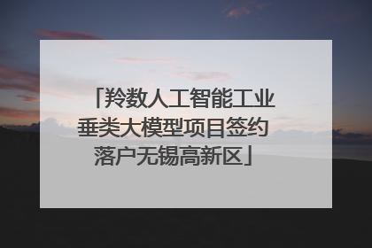 羚数人工智能工业垂类大模型项目签约落户无锡高新区