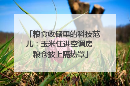 粮食收储里的科技范儿：玉米住进空调房 粮仓披上隔热罩