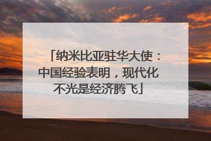 纳米比亚驻华大使：中国经验表明，现代化不光是经济腾飞