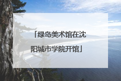 绿岛美术馆在沈阳城市学院开馆