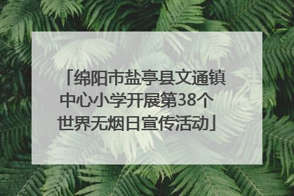 绵阳市盐亭县文通镇中心小学开展第38个世界无烟日宣传活动