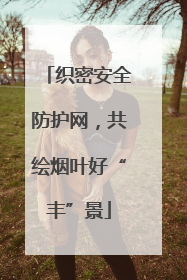 织密安全防护网，共绘烟叶好“丰”景