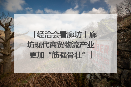 经洽会看廊坊丨廊坊现代商贸物流产业更加“筋强骨壮”