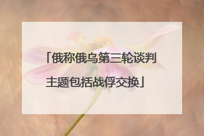 俄称俄乌第三轮谈判主题包括战俘交换