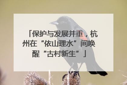保护与发展并重，杭州在“依山理水”间唤醒“古村新生”