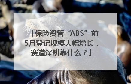 保险资管“ABS”前5月登记规模大幅增长，赛道深耕靠什么？