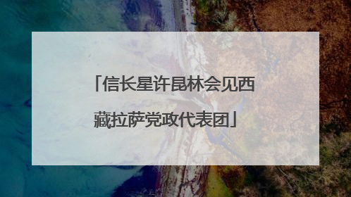 信长星许昆林会见西藏拉萨党政代表团