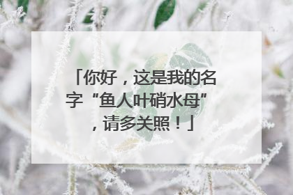 你好，这是我的名字“鱼人叶硝水母”，请多关照！