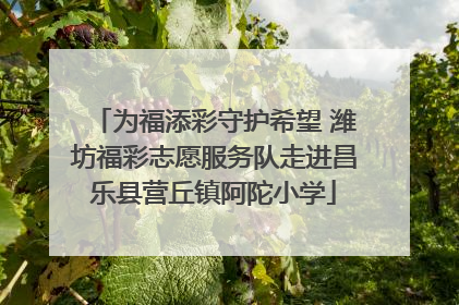 为福添彩守护希望 潍坊福彩志愿服务队走进昌乐县营丘镇阿陀小学