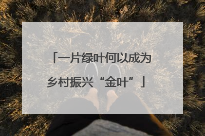 一片绿叶何以成为乡村振兴“金叶”