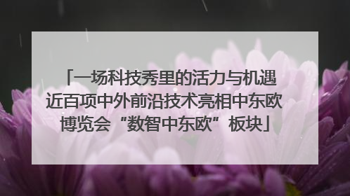 一场科技秀里的活力与机遇 近百项中外前沿技术亮相中东欧博览会“数智中东欧”板块