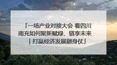 一场产业对接大会 看四川南充如何聚新赋绿、链享未来｜打赢经济发展翻身仗