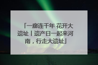 一廊连千年 花开大遗址丨遗产日一起来河南，行走大遗址