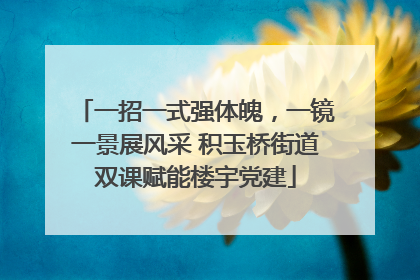 一招一式强体魄，一镜一景展风采 积玉桥街道双课赋能楼宇党建