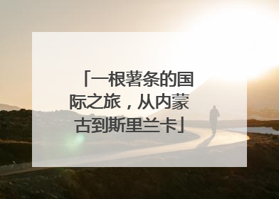 一根薯条的国际之旅，从内蒙古到斯里兰卡