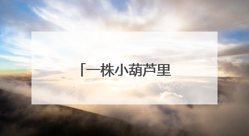 一株小葫芦里的育人智慧