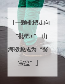 一颗枇杷走向“枇杷+” 山海资源成为“聚宝盆”