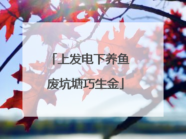 上发电下养鱼 废坑塘巧生金